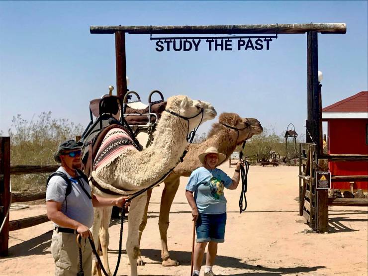 Goffs Camel Trek 2021. Association du patrimoine et de la culture du désert de Mojave.